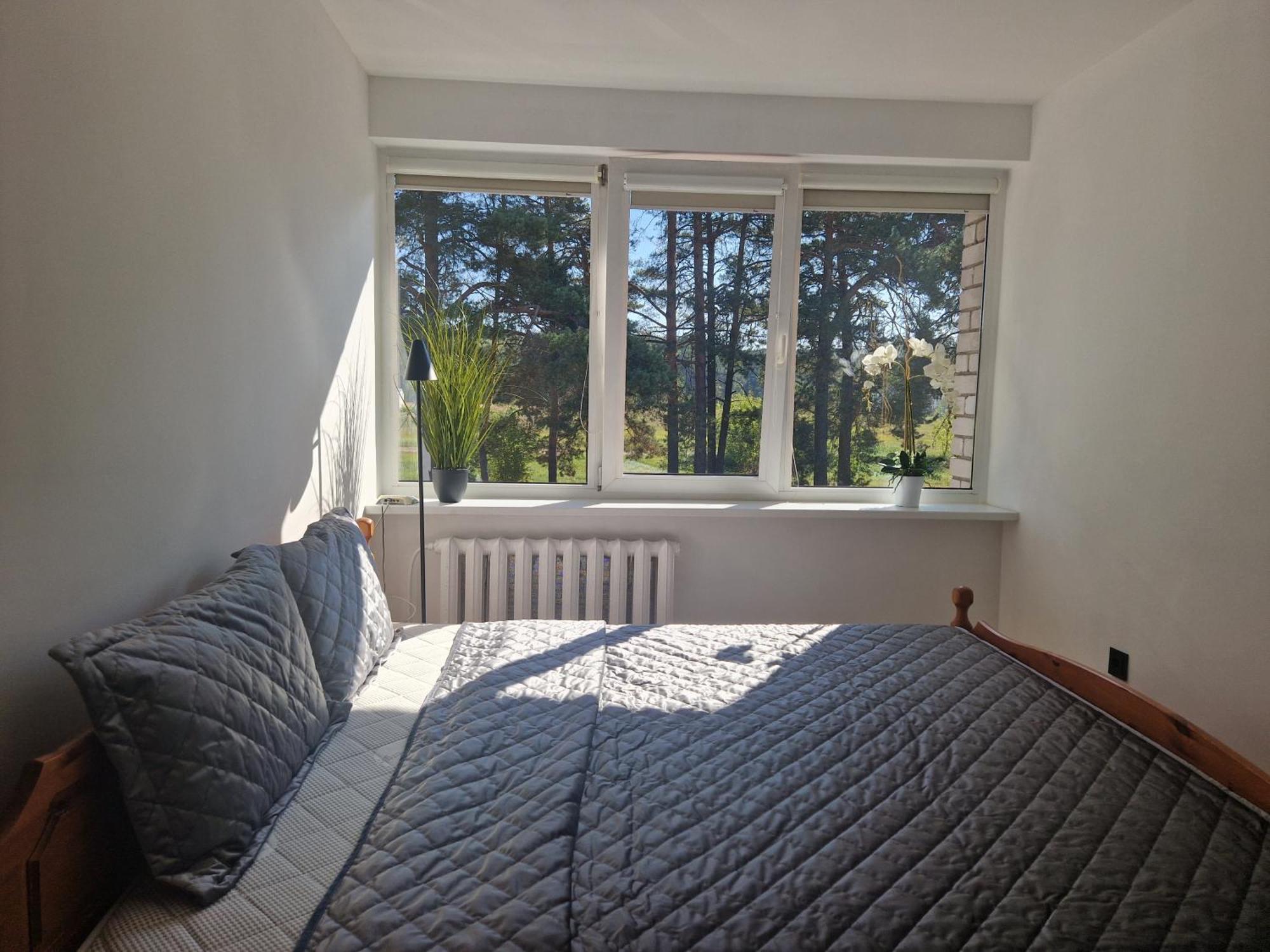 Duplex Apartment Vilte Druskininkai Esterno foto