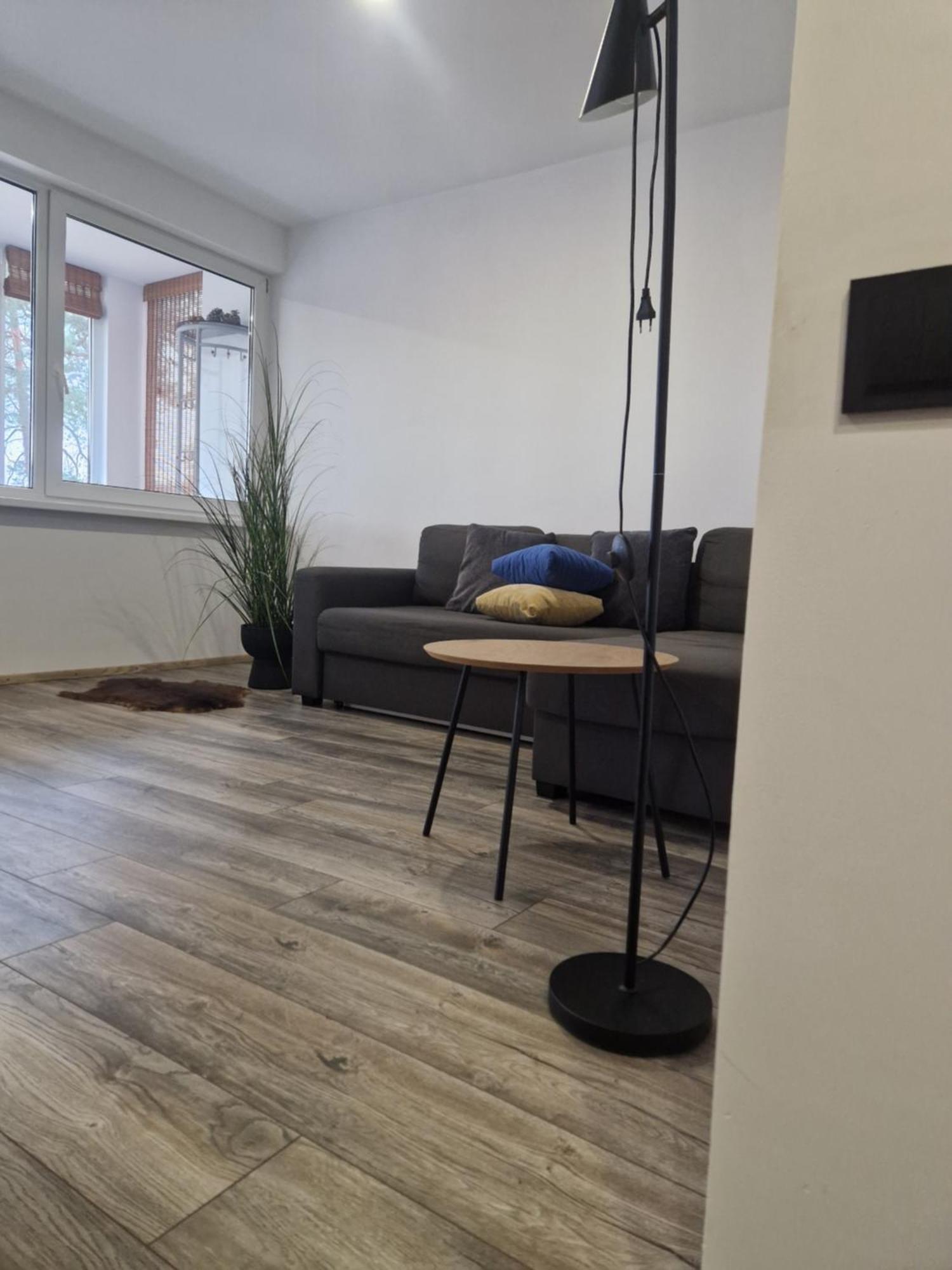 Duplex Apartment Vilte Druskininkai Esterno foto
